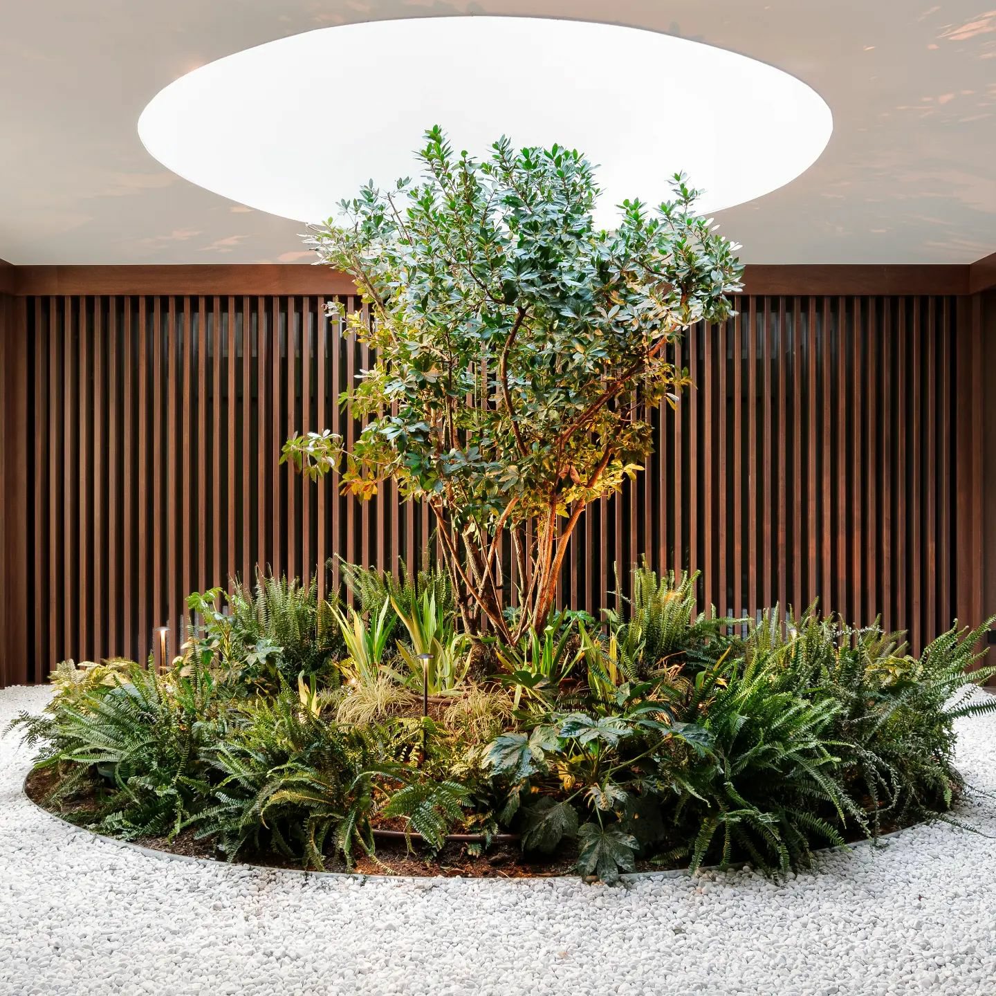 Nami Café — 5