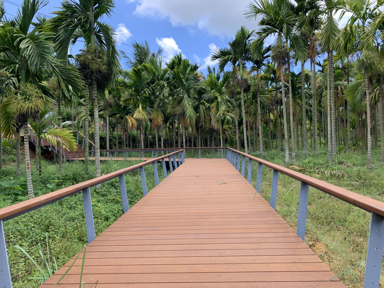 CTECH Decking — view 2